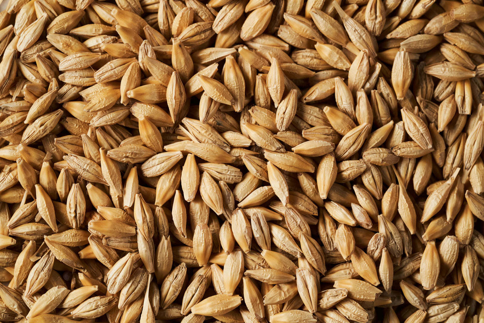 Southern Stockfeeds: Nutritionally Balanced Stock Feed Tailored to You